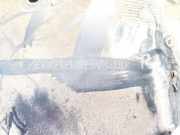 Radhausschale - Hinten Rechts Nissan Primera, P12 2002.01 - 2008.12 76744av600,