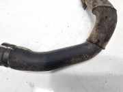 Kühlerschlauch Ford Focus, 2011.04 - 2018 8V618260KD, 8V61-8260-KD