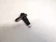 T?rkontakt - Rechts Toyota Prius, 2003.06 - 2009.01 Gebraucht,