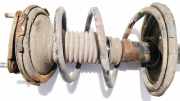 Fahrwerksfeder vorne Toyota RAV-4, II 2000.09 - 2005.11 Gebraucht,