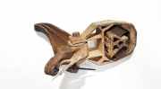 Halter für Motoraufhängung Honda Accord, 2003.02 - 2005.09 Gebraucht,