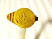 Verschluss Waschwasserbehälter Peugeot 207, 2009.06 - 2012.12 facelift 28915,