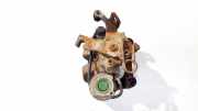 Bremssattelträger - Hinten Linke Citroen C4 Picasso, I 2006.01 - 2013.06 Gebraucht,