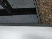 Zierleiste Leiste - Hinten Rechts Renault Scenic, II 2003.06 - 2006.06 Gebraucht,