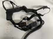 Kabelbaum Opel Zafira, A 1999.04 - 2003.11 24445237,24445237a 1928404326