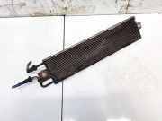 Kraftstoffkühler Kraftstoff Kühler Volkswagen Passat, B6 2005.08 - 2010.11 3C0203491E, BXE