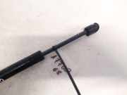 Gasdruckfeder Kofferraum Audi A4, B5 1994.11 - 1999.09 Gebraucht,