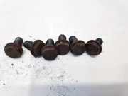 Schwungradschraube Skoda Roomster, I 2006.01 - 2010.05 Gebraucht,