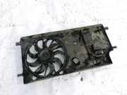 Kühlerlüfter Lüftermotor Renault Laguna, III 2007.10 - 2010.11 3135103767, 0894951