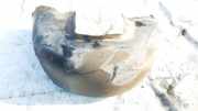 Radhausschale - Hinten Linke Audi 100, C4 1991.01 - 1994.06 4A0810171,