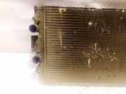 Wasserkühler Iveco Daily, 2006.01 - 2011.06 Gebraucht,