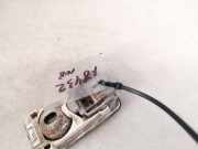 Innenraumleuchte Citroen Berlingo, I 2002.11 - 2008.04 facelift Gebraucht,