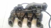 Ansaugkrümmer Renault Scenic, II 2003.06 - 2006.06 8200272607,