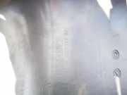 Innenausstattung Renault Scenic, II 2003.06 - 2006.06 8200140871,