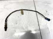 Lambdasonde -4 Drähte WEISS WEISS SCHWARZ GRAU Ford Transit, III 2006.04 - 2012.12 facelift CF33G, 009141