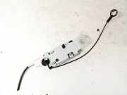 Antenne Verstärker Opel Insignia A, 2013.01 - 2017.06 facelift 22969765, 421251063