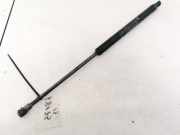 Gasfeder für Motorhaube Fiat Punto, 2005.10 - 2012.03 B418,