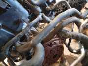 Kühlerschlauch Peugeot 107, I 2005.01 - 2009.06 Gebraucht,