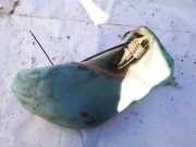 Scheibenwaschbehälter Vorne Wischwasserbehälter Audi 80, B4 1991.09 - 1995.01 8a0955453,