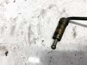 Einspritzleitung Nissan Primera, P12 2002.01 - 2008.12 Gebraucht,