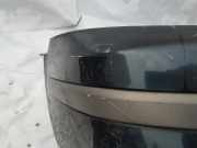 Zier-Schutzleistensatz f?r Sto?f?nger - Vorne Rechts Renault Laguna, II 2001.03 - 2006.05 Gebraucht,