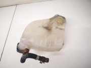 Ausgleichsbehälter Renault Twingo, 2007.03 - 2014.06 8200369313,