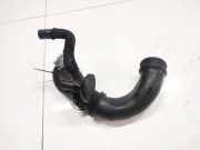 Schlauch für Luftversorgung Renault Kangoo, 2003.05 - 2007.06 Gebraucht ,