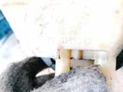 Servolenkung Ölbehälter Renault Laguna, I 1994.01 - 2001.03 7700795347,