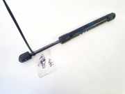 Gasdruckfeder Kofferraum Opel Vectra, C 2002.04 - 2005.10 13247869,