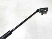 Gasfeder für Motorhaube Lexus IS, II 2005.10 - 2013.03 534500w081, 53450-0w081