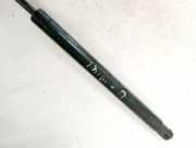 Gasdruckfeder Kofferraum Chevrolet Captiva, 2006.01 - 2011.06 06532220813, 065-322-2081-3 0510112