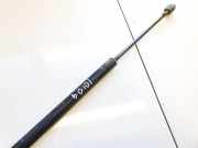 Gasdruckfeder Kofferraum Renault Scenic, II 2006.06 - 2009.02 facelift 8200484676,