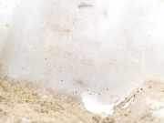 Scheibenwaschbehälter Vorne Wischwasserbehälter Volkswagen Transporter, T4 1990.07 - 1996.01 701955453b,