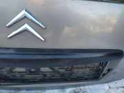 Kennzeichenleuchte Citroen C3, I 2002.02 - 2005.06 Gebraucht,