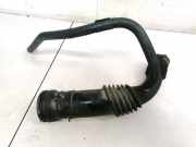 Schlauch für Luftversorgung Renault Scenic, I 1996.01 - 1999.09 Gebraucht,