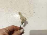 Sensor Innentemperatur Opel Astra, J 2009.12 - 2015.06 1006532,