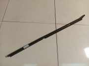 Zierleiste Leiste - Vorne Rechts Renault Scenic, I 1996.01 - 1999.09 Gebraucht,