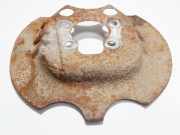 Spritzblech für Bremsscheibe - Hinten Linke Citroen Berlingo, II 2008.04 - 2018 Gebraucht,