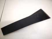 Zierleiste Leiste - Vorne Rechts Volkswagen Passat, B6 2005.08 - 2010.11 Gebraucht, BKP