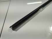 Zierleiste Leiste - Hinten Rechts Ford C-MAX, 2003.01 - 2007.06 Gebraucht ,