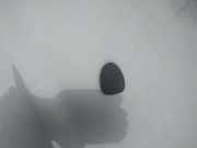 Waschwasserdüse Scheibenreinigung Peugeot 3008, I 2008.01 - 2016.06 Gebraucht,