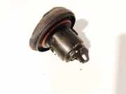 Tankverschluss Fiat Ducato, 2006.07 - 2014 C449,