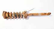 Stoßdämpfer - Hinten Linke Audi A4, B5 1994.11 - 1999.09 Gebraucht,