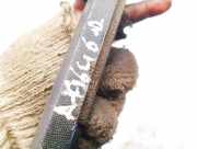 Stoßstangenhalter - Hinten Opel Combo C 2001 - 2011 24408828,