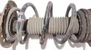 Fahrwerksfeder vorne Nissan Qashqai, I 2006.01 - 2010.06 Gebraucht,