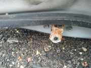 Türfangband Türbremse Türstopper - Vorne Linke Nissan Primera, P12 2002.01 - 2008.12 Gebraucht,