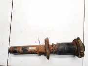 Sto?d?mpfer - Vorne Rechts Volkswagen Passat, B6 2005.08 - 2010.11 3c0413031al, BMP