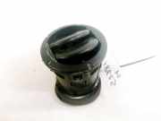 Lüftungsgitter Armaturenbrett Renault Master, II 2003.01 - 2010.01 facelift R6231S600,