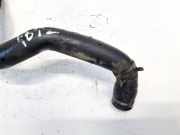 Entlüftungsschlauch Kraftstoffbehälter Ford Focus, 1998.10 - 2002.10 YS6Q6K869AB, YS6Q-6K869-AB