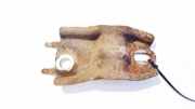 Motorhalterung und Getriebe (Motorhalterung) Citroen C4 Grand Picasso, I 2006.01 - 2013.06 Gebraucht,